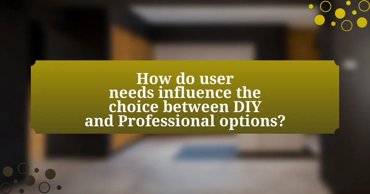 How do user needs influence the choice between DIY and Professional options?