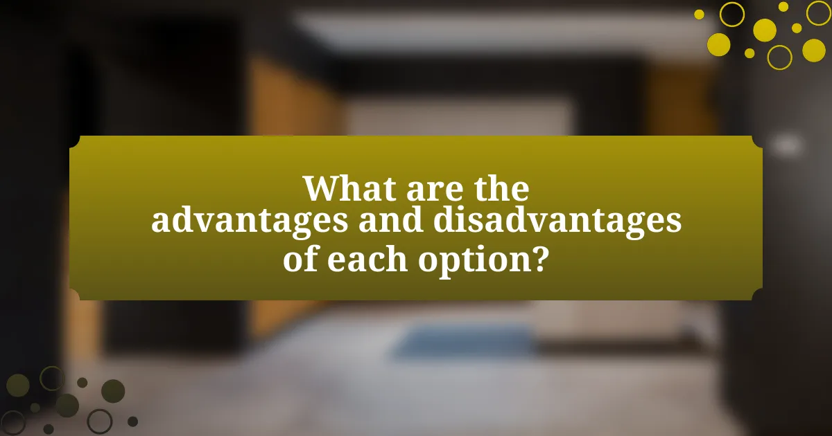 What are the advantages and disadvantages of each option?